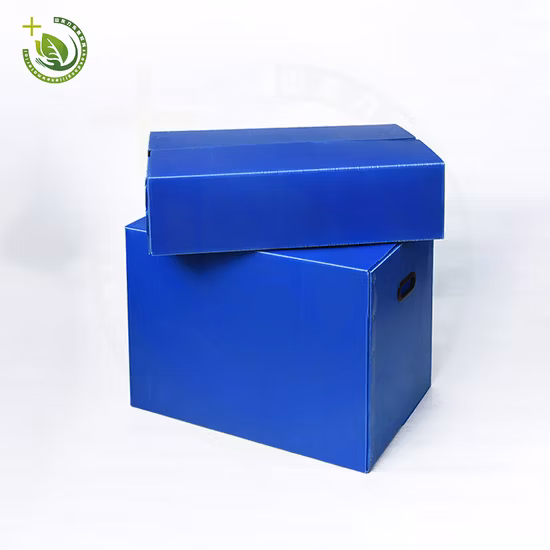 8092 Boîte de rangement en plastique PP durable avec boucle solide et couvercle pratique Multi